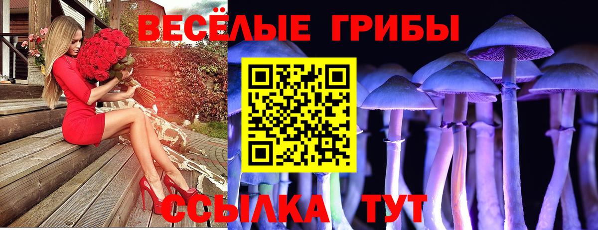 где можно купить наркотик  Вход с VPN  Сорочинск  Псилоцибиновые грибы Cubensis  Галлюциногенные грибы GOLDEN TEACHER 